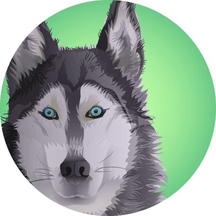 About - Siberian Husky (440x440), Png Download