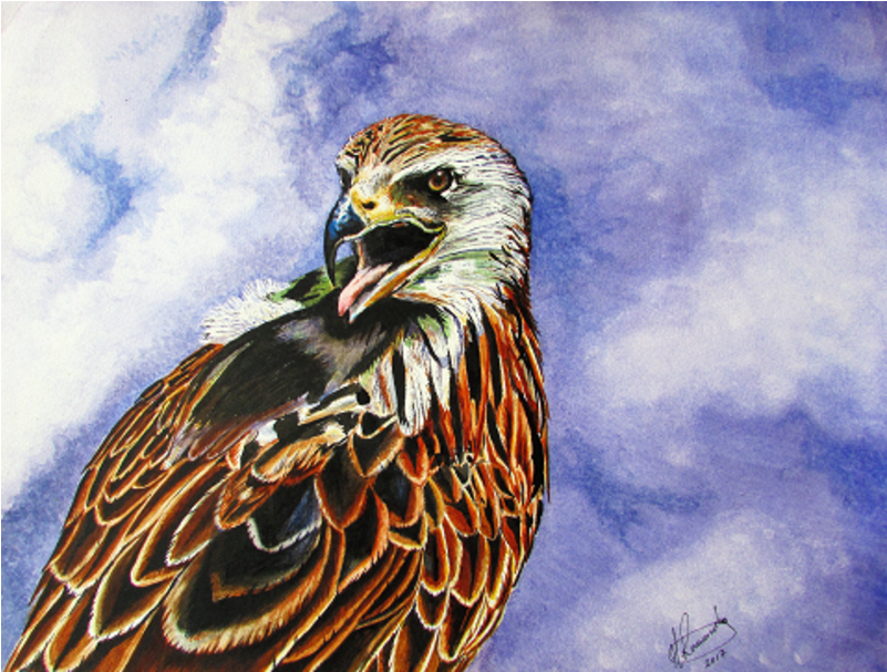 Golden Eagle (800x800), Png Download