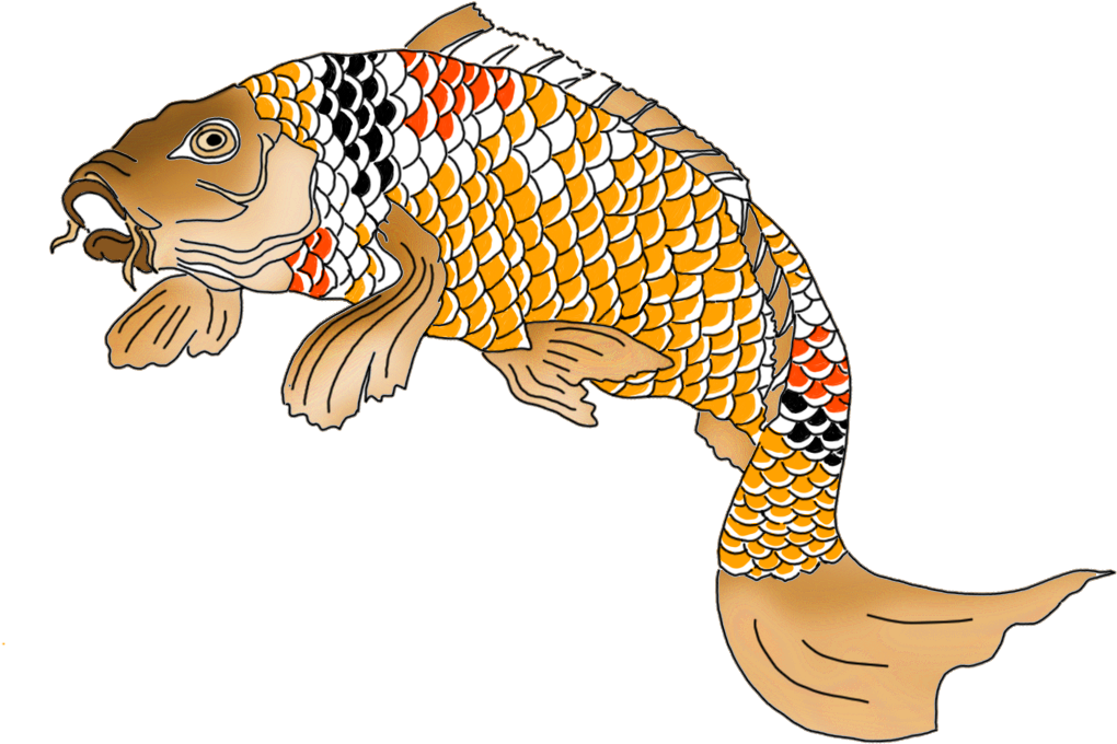 Japanese Koi Fish Orange Red Black White - Draw Green Fish (1049x755), Png Download