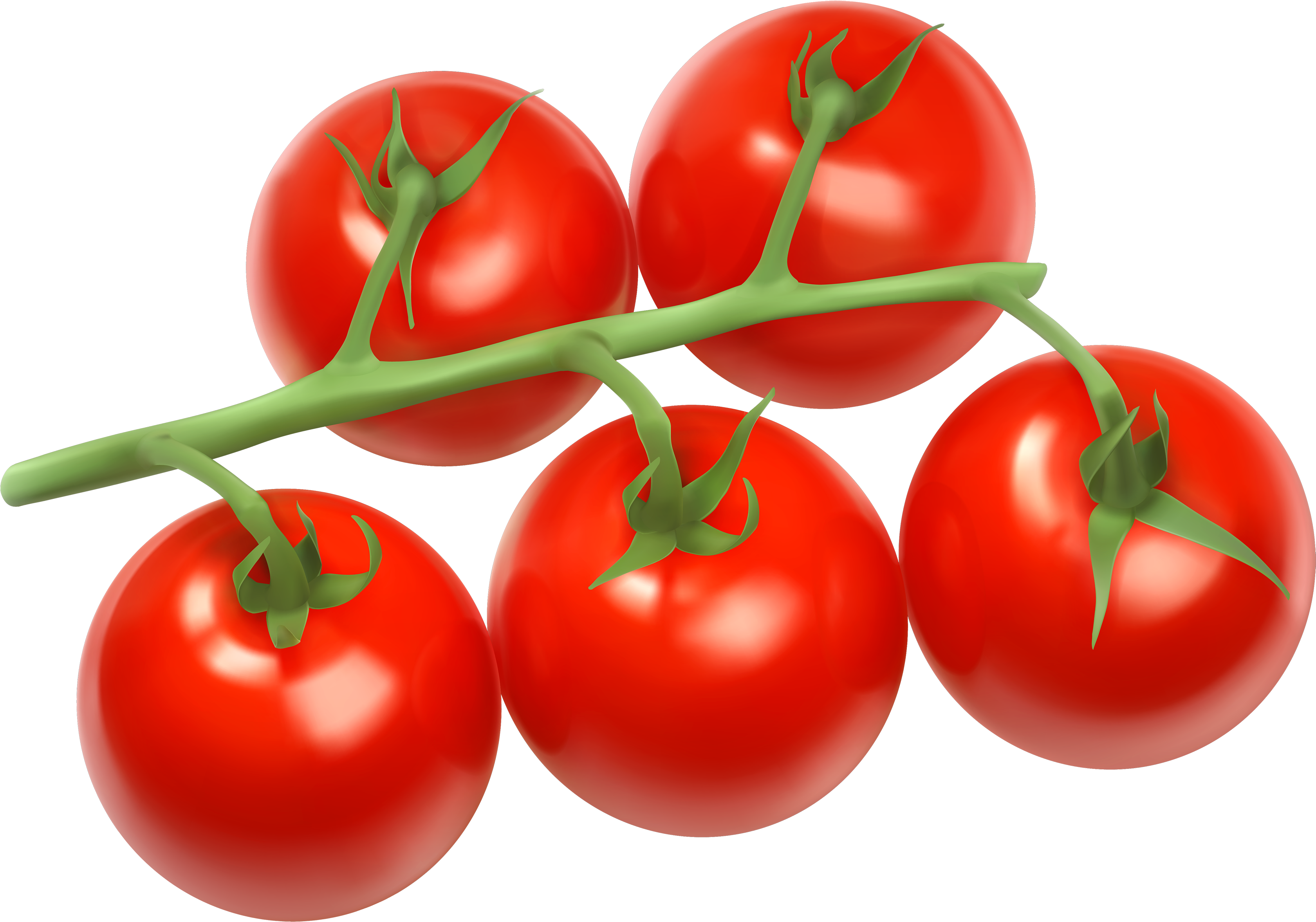 Tomatoes Branch Png Clipart - Tomatoes Clipart (3500x2390), Png Download