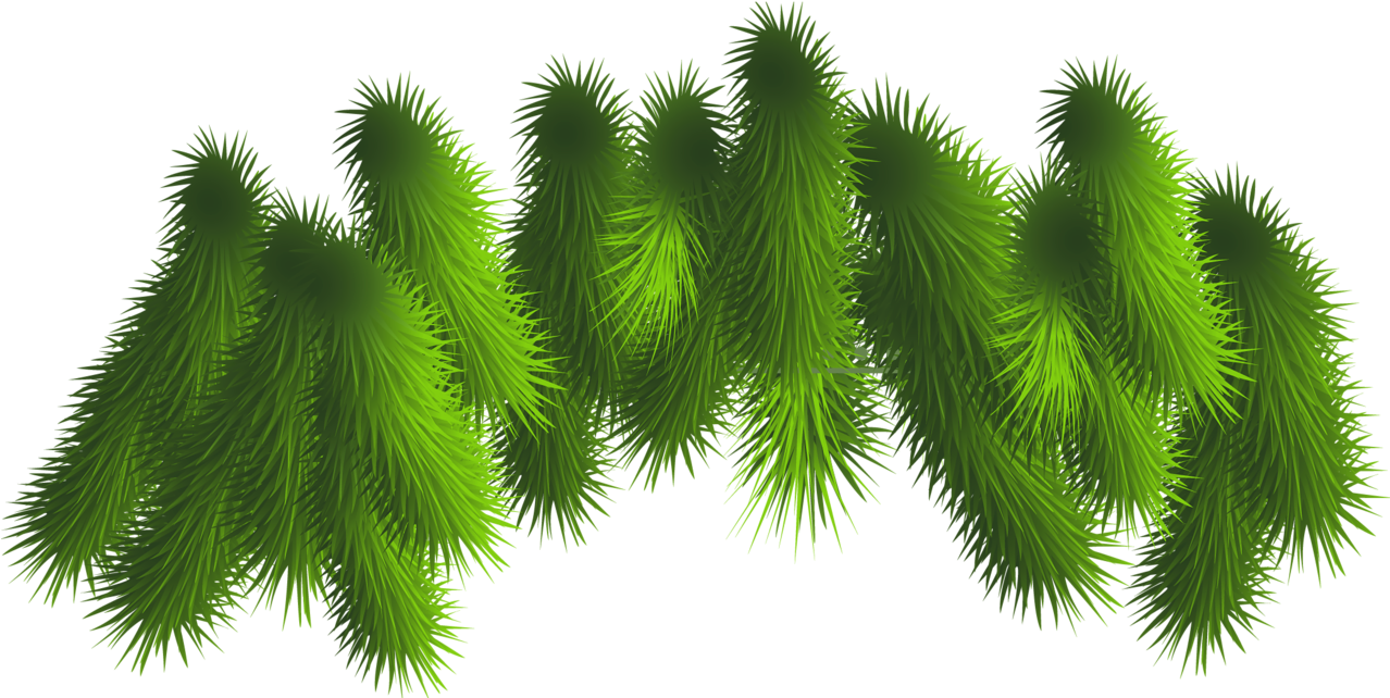 Branch Clipart Christmas - Pine Boughs Transparent (1280x650), Png Download