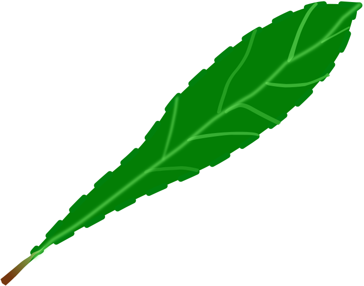 Drawing Leaf Computer Icons Green Watercolor Painting - Single Green Leaf Clip Art (750x750), Png Download