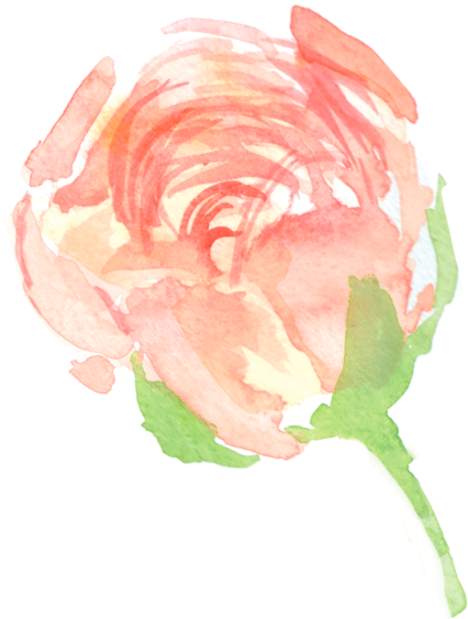 Garden Roses (457x600), Png Download