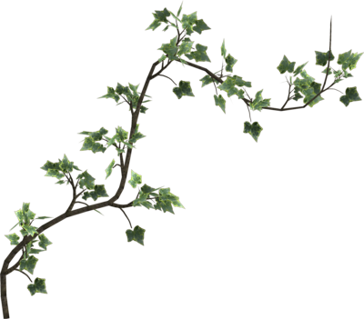 Free Icons Png - Poison Ivy Vine Png (400x351), Png Download