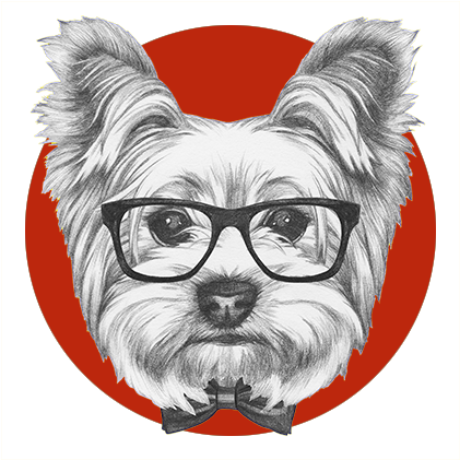 Regina Dog Grooming Student - Yorkshire Dog Glasses (500x500), Png Download