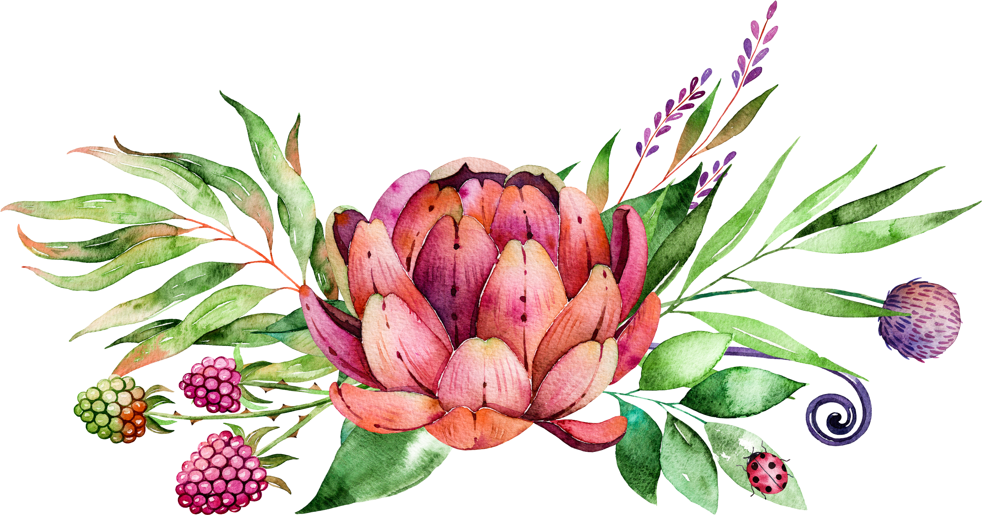Jpg Library Painting Flower Succulent Plants Transprent - Succulents Painting Png (3400x1838), Png Download