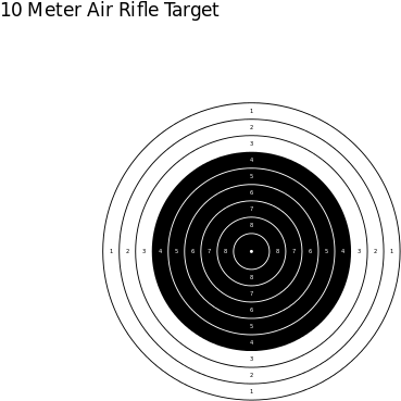 240 × 240 Pixels - 10 Meter Air Target (480x480), Png Download