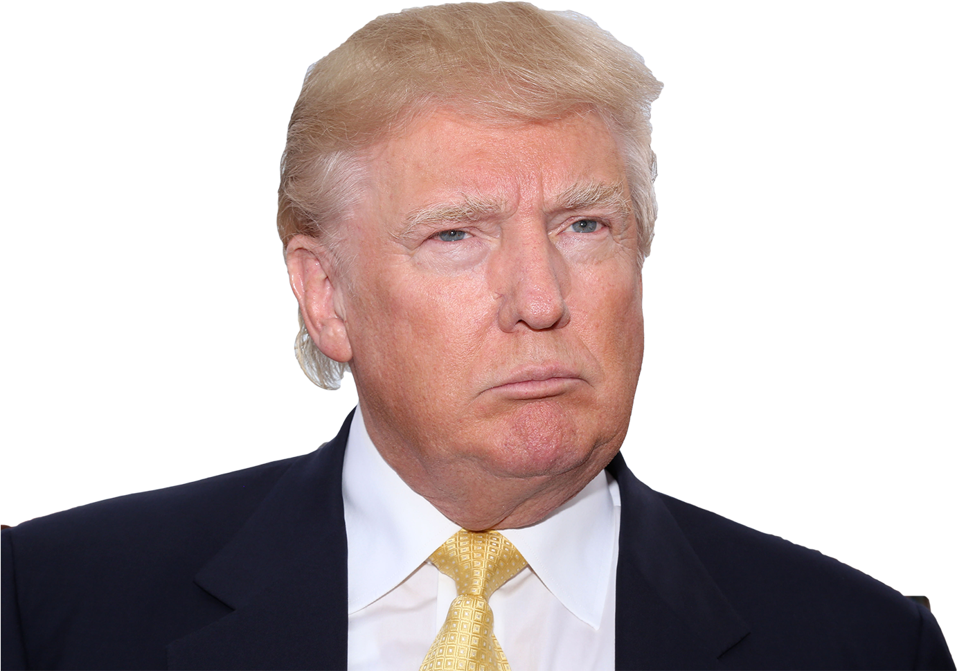 Donald Trump Memes Cat (1500x1000), Png Download