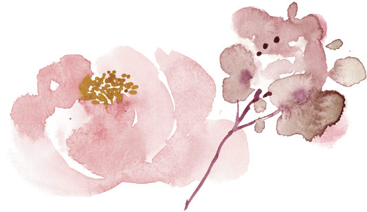 Il Nido - Garden Roses (593x315), Png Download