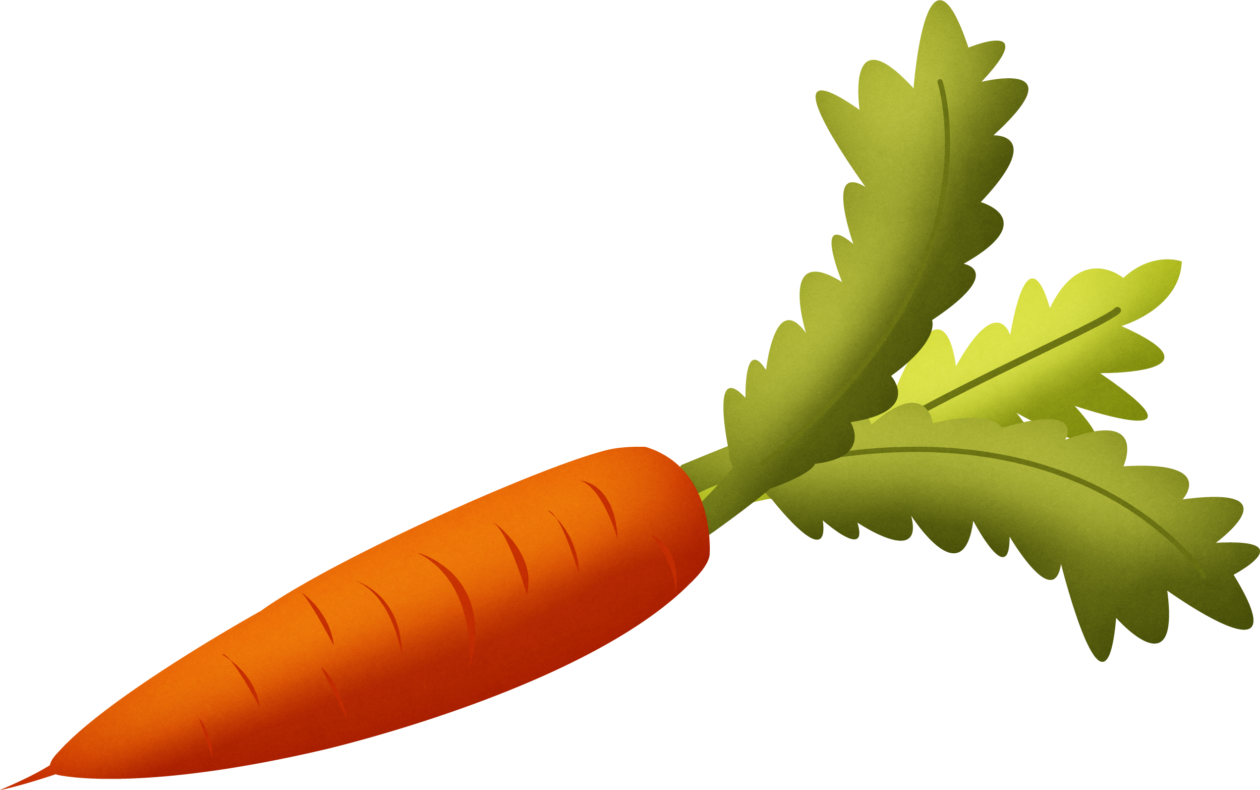 Carrot Png Image - Carrot Png (2542x1595), Png Download
