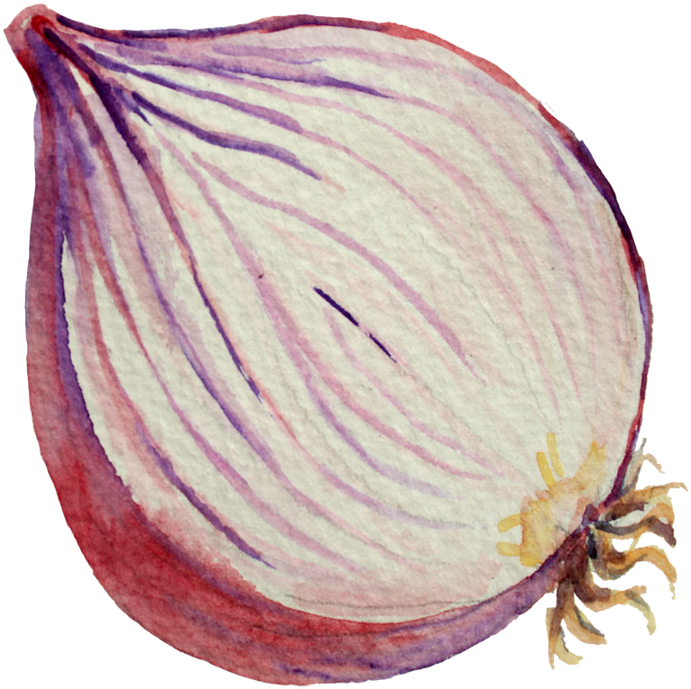 Spaghetti - Watercolor Painting (800x783), Png Download