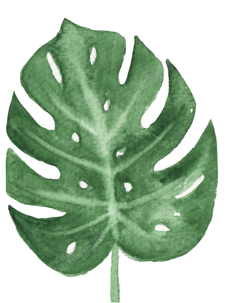 The Green Leaf Watercolor (1024x1151), Png Download