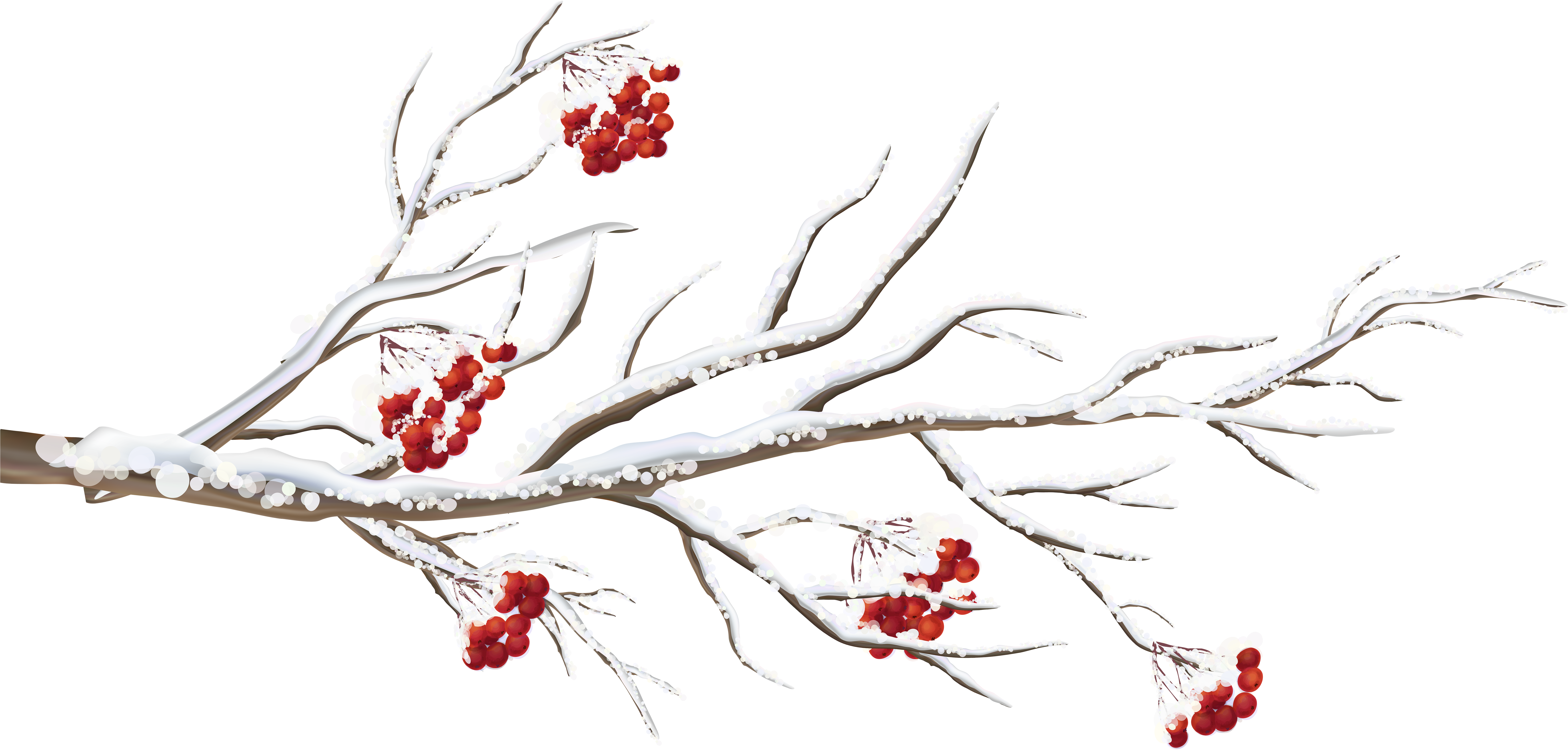 Branch Png (8000x3917), Png Download