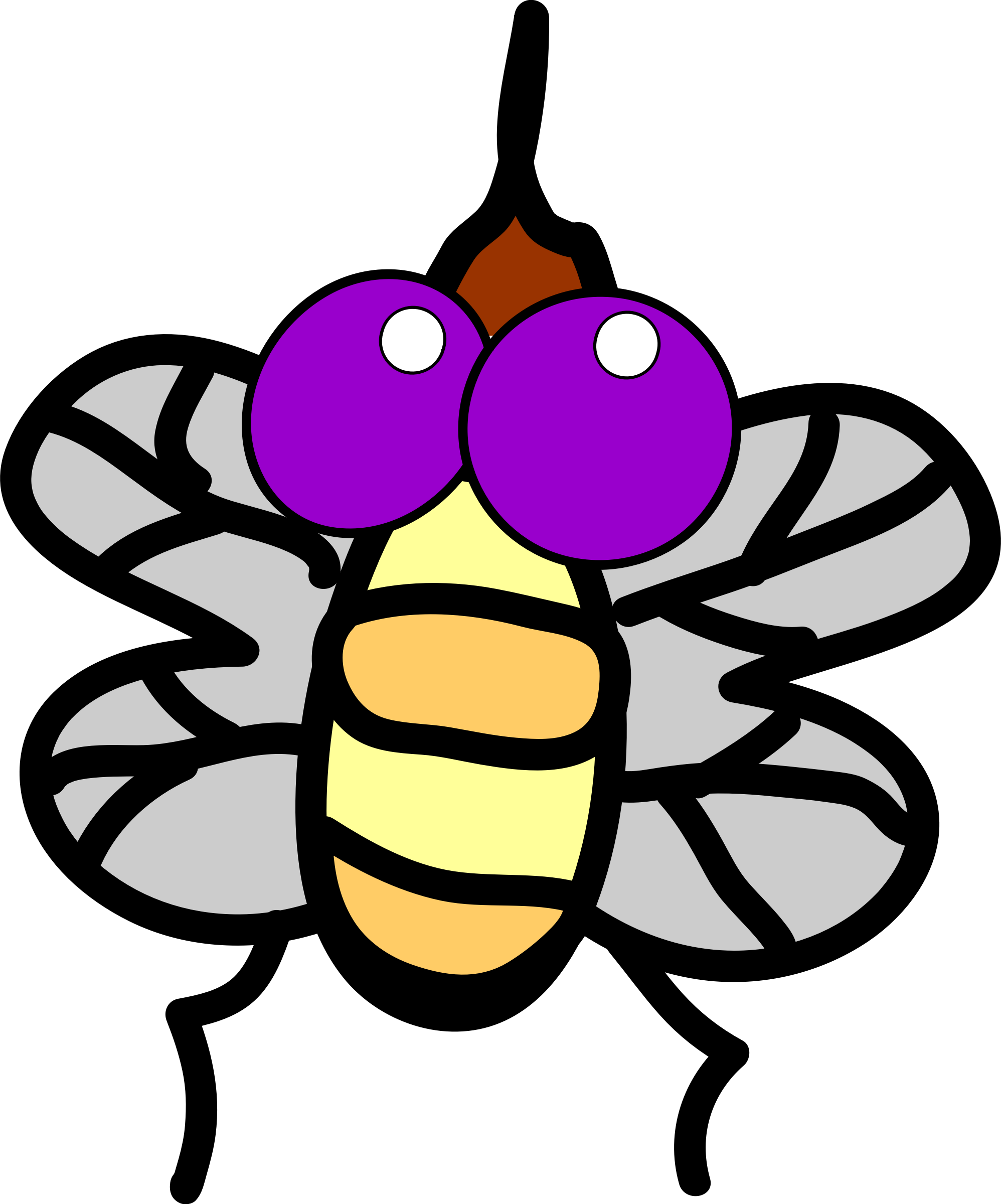 Fly Png (1996x2400), Png Download