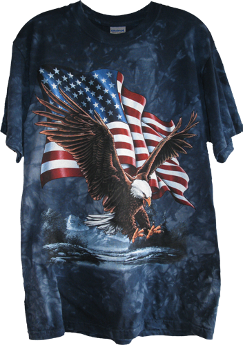 Black T Shirt W/bald Eagle And Flag $13 - Eagle Landing American Flag In Background Beautiful (352x500), Png Download