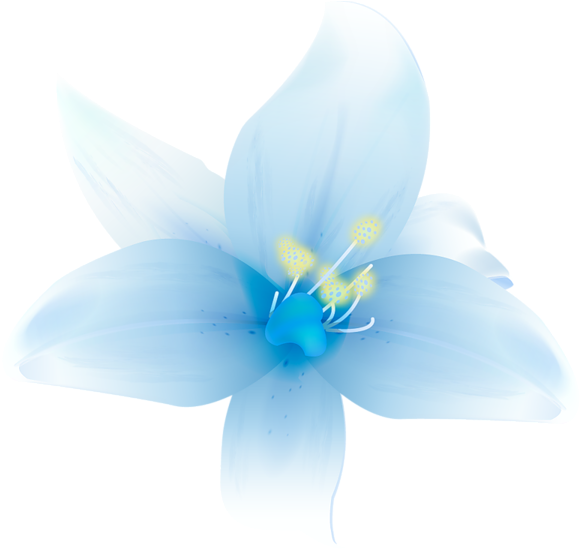 Beautiful Flowers Png By Hanabell1 - White Blue Flowers Png (600x553), Png Download