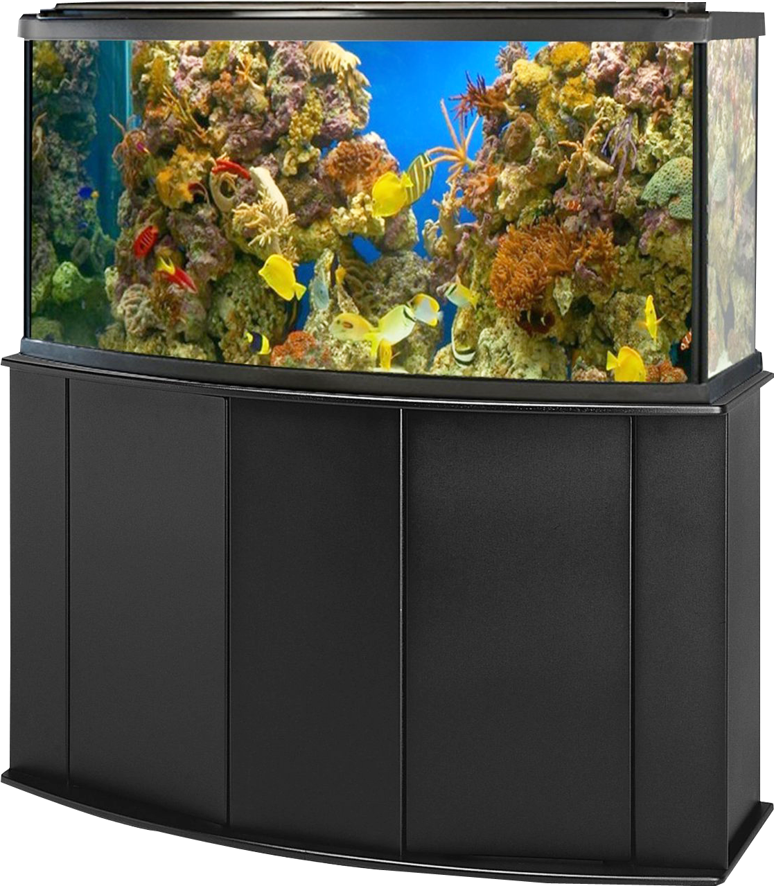 Aquarium Fish Tank Png Image - Aquarium Fish Tank Png (1242x1426), Png Download