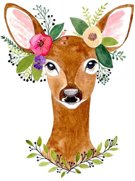 Report Abuse - Watercolor Woodland Animals Png (564x732), Png Download