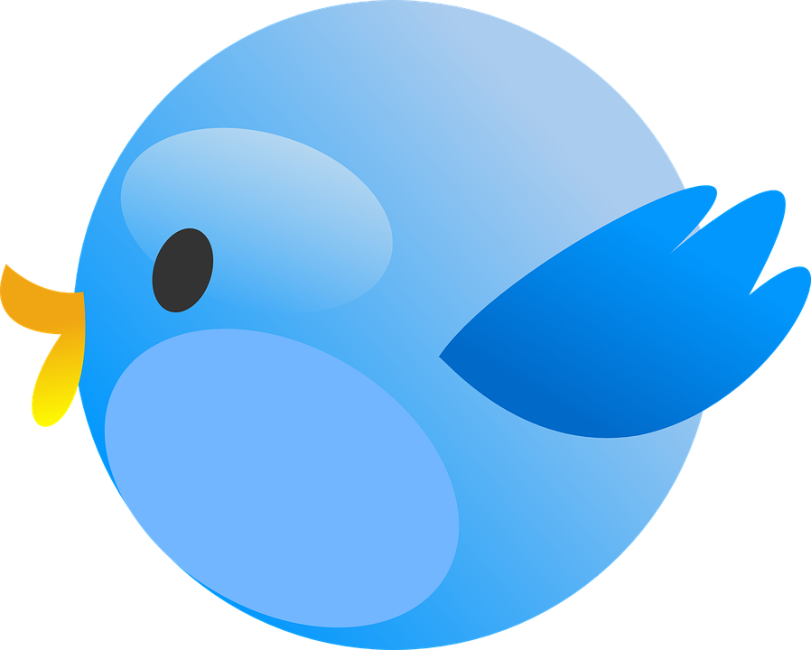 Cutie Twitter Bird Svg Clip Arts 600 X 481 Px (600x481), Png Download