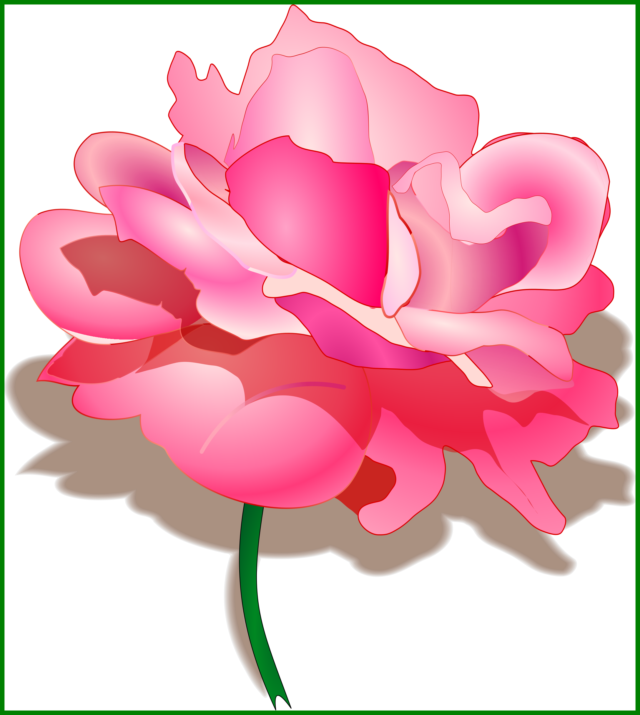 The Best Watercolor Peonies Clipart Now Available Pretty - Peony Clipart Transparent Background (2175x2430), Png Download