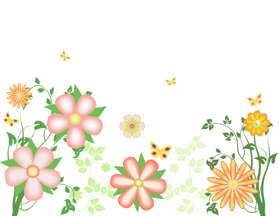 Watercolor Floral Border Decoration, Flower, Flowers, - Design Clipart On Transparent Background (900x698), Png Download
