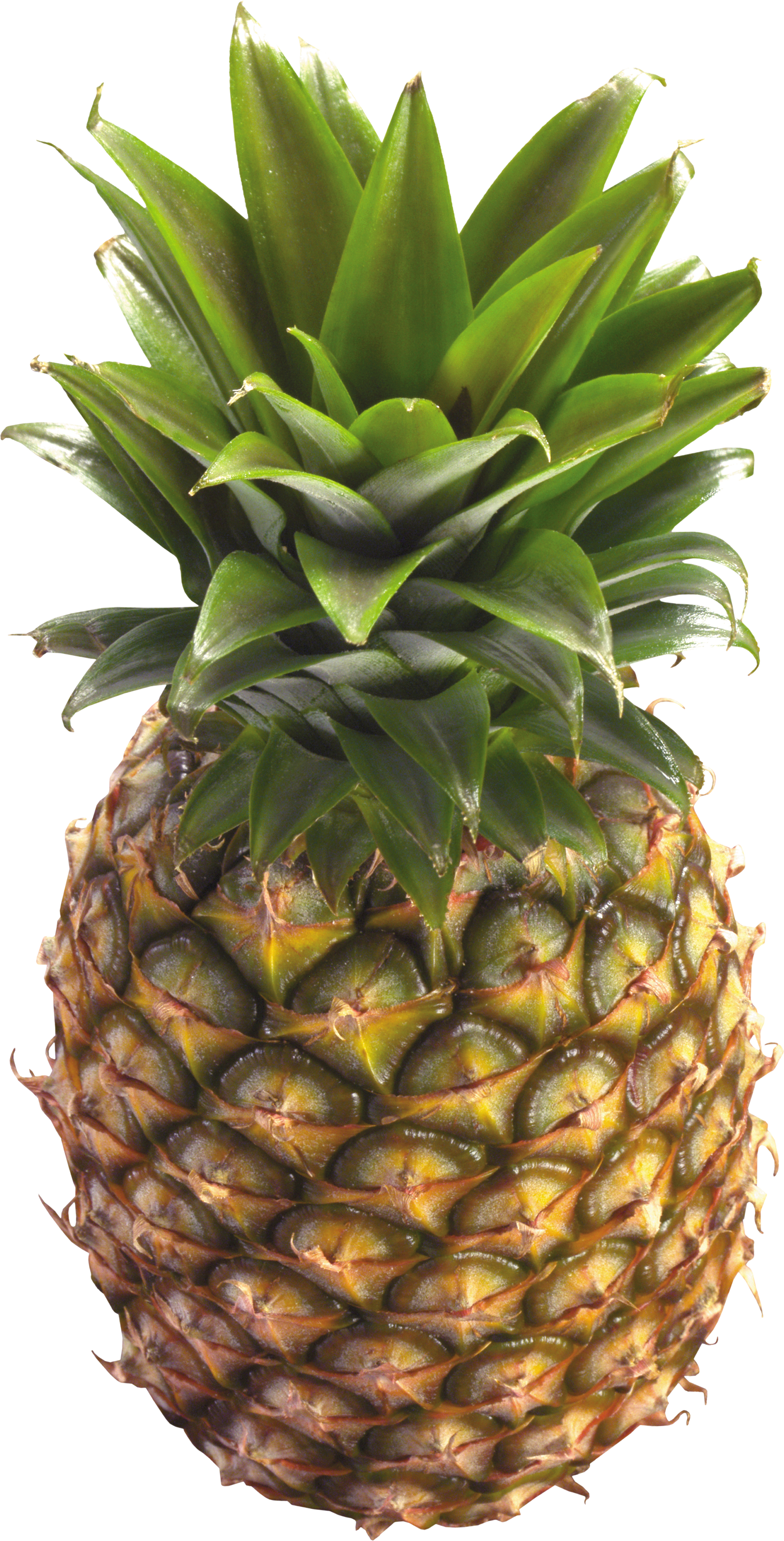 Pineapple Png (1768x3475), Png Download