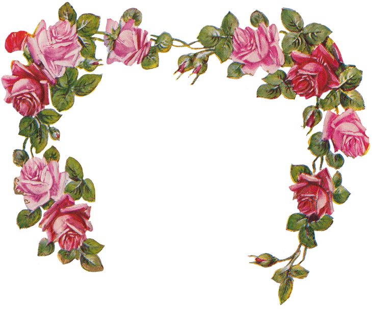 Wings Of Whimsy Die Cut Rose Heart - Transparent Background Rose Border (730x617), Png Download