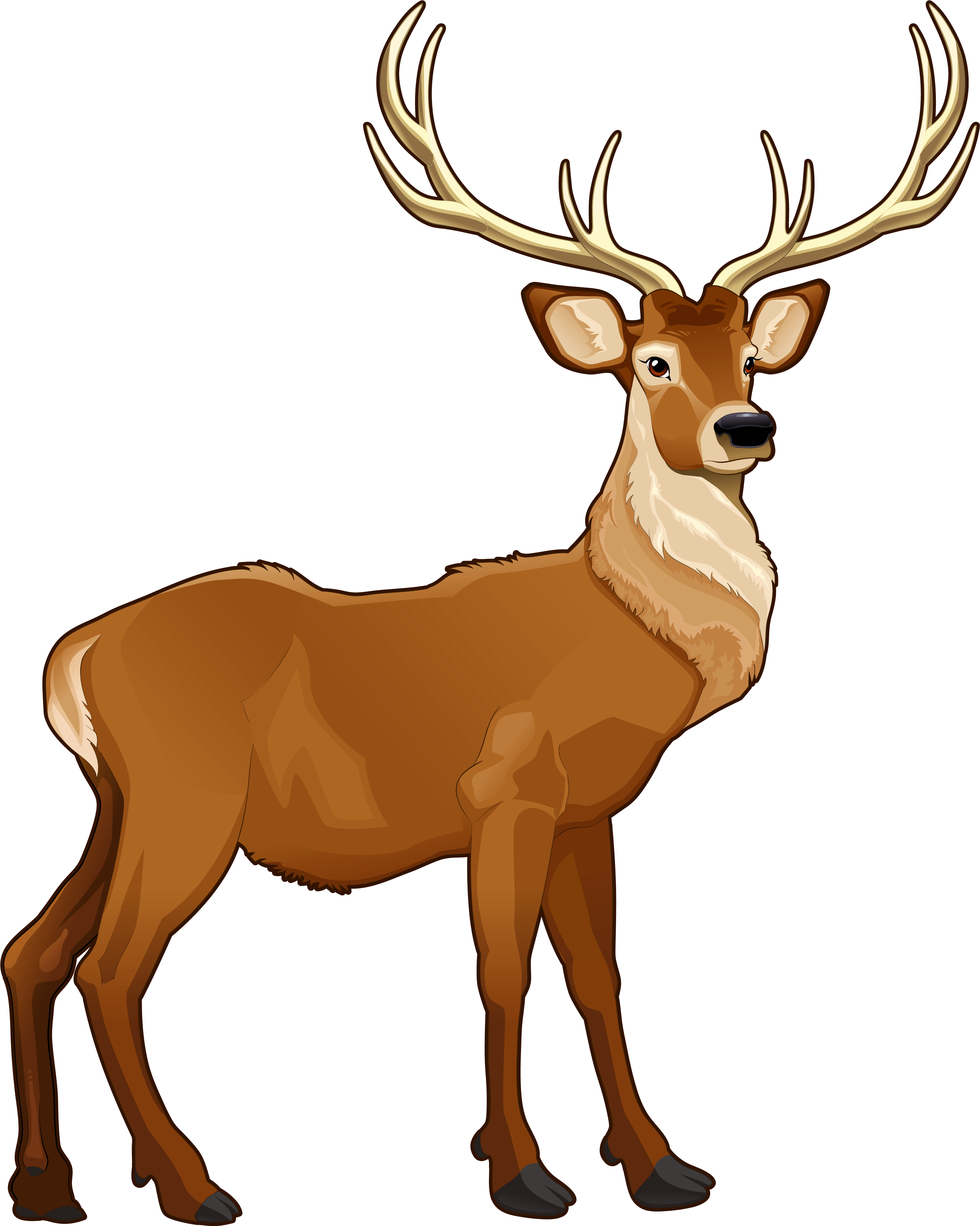 Picture Free Stock Brown Png Picture Animals Clip Art - Reindeer Clipart (3438x4168), Png Download