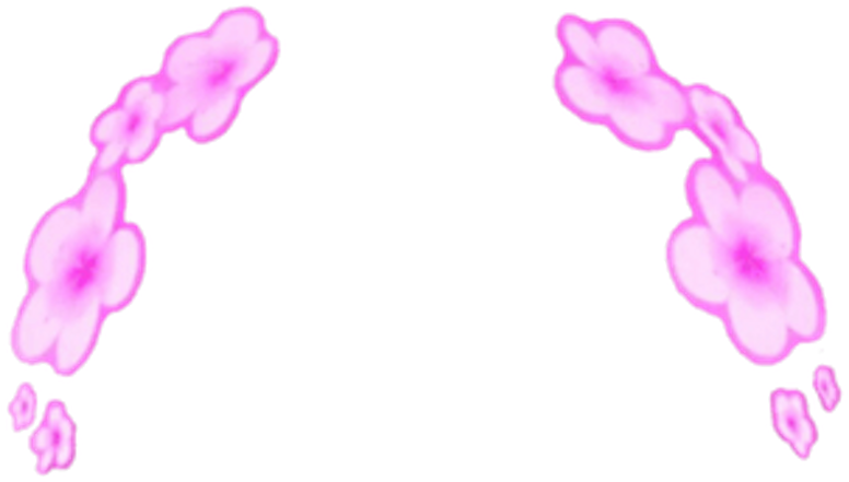 Download Hd Snapchat Filters Clipart Purple Flower Pink Flower Snapchat Filter Transparent Png Image Nicepng Com