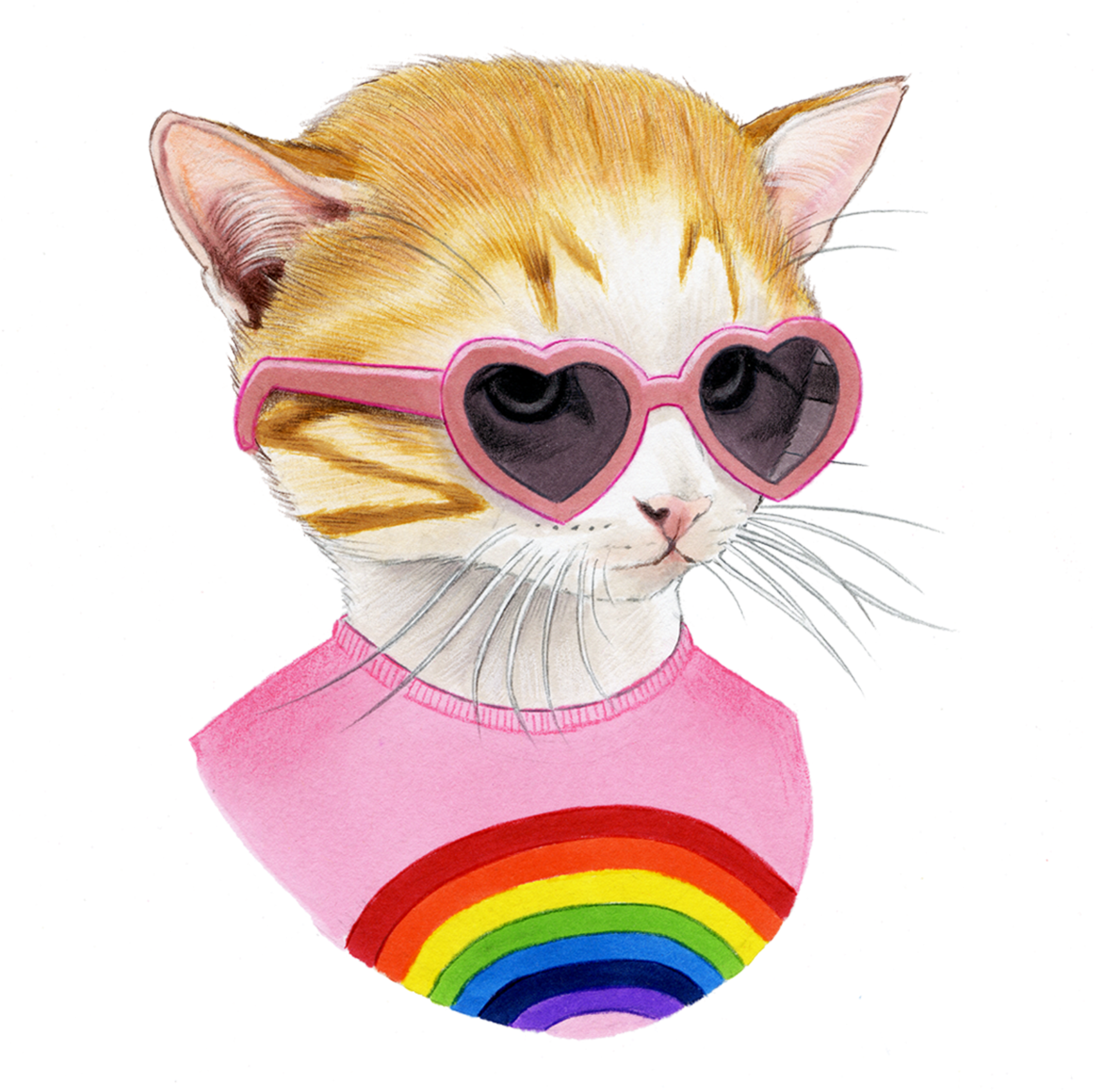Rainbow Kitten (2048x2048), Png Download