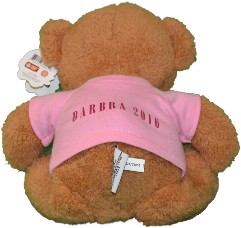 Teddy Bear Back Png (1000x1000), Png Download