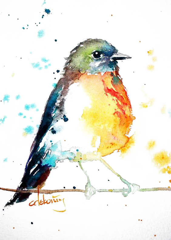 Bird European Robin Watercolor Painting Drawing - Love Birds Watercolour Paintings (564x789), Png Download