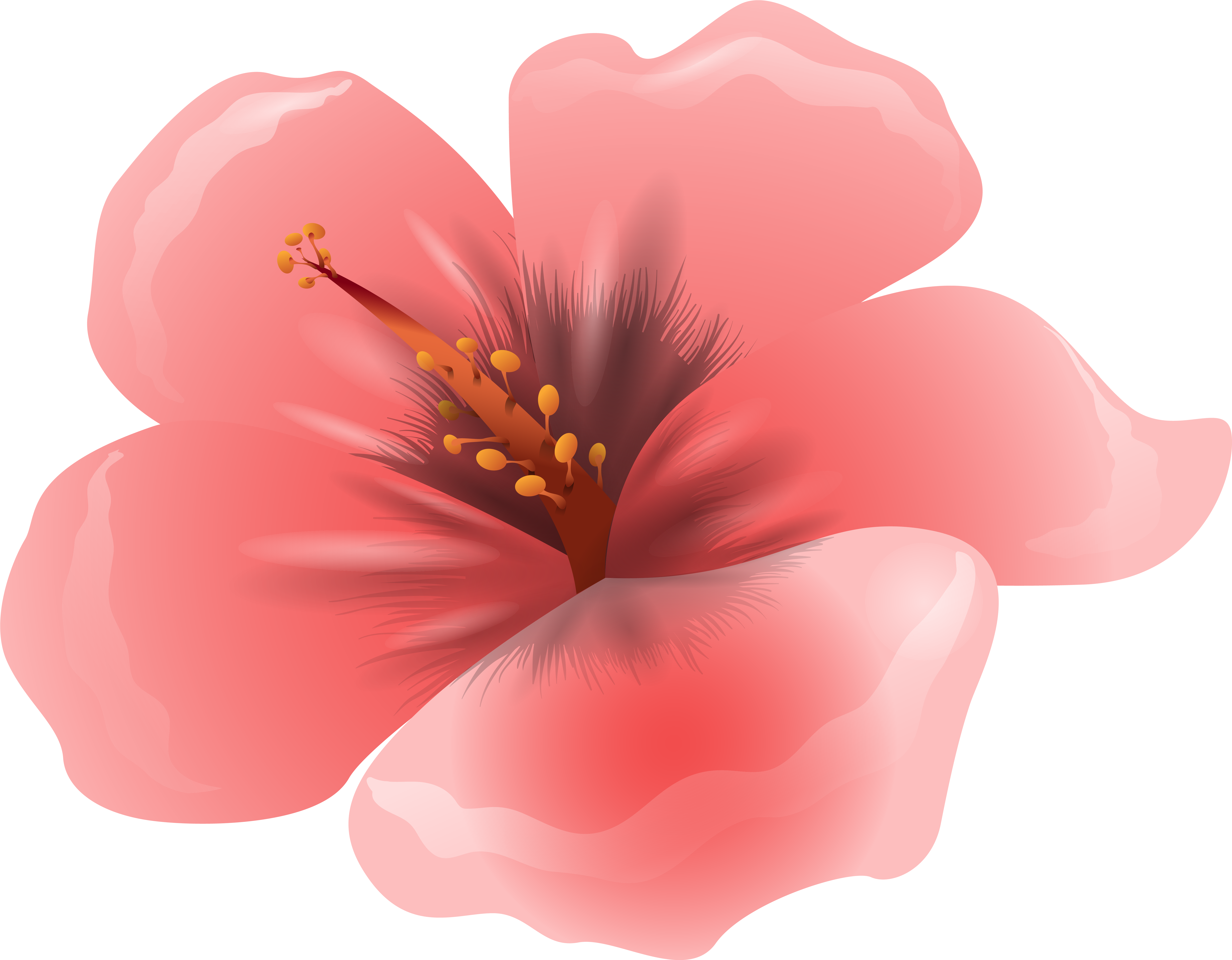 Pink Flower Clipart Png (6258x4877), Png Download