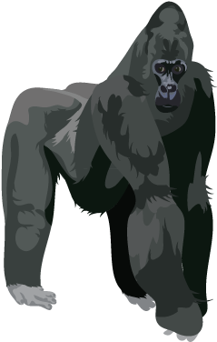 201502 Gorilla - Gorilla Png (400x400), Png Download