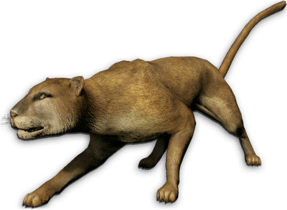 Mountain Lion - Far Cry Mountain Lion (604x464), Png Download