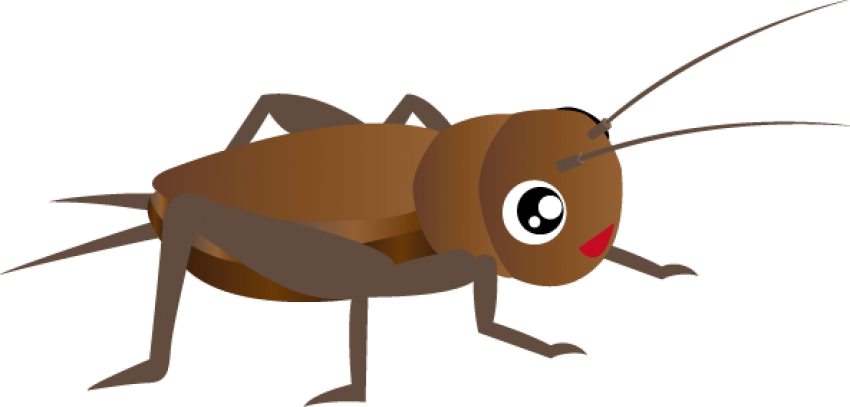 Cricket Insect Png Hd - Insect Clipart Png (592x283), Png Download