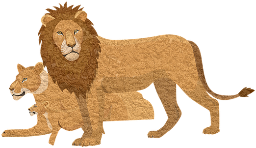Lion, Pixabay, Animal, Lioness, Vintage - Lion (680x340), Png Download