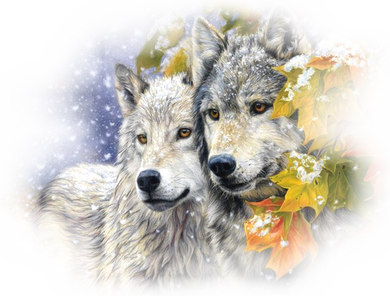 Two Wolves In Snow - Blxecky 5d Diy Diamond Painting By Number Kitswolf(16x12inch/40x30cm) (567x431), Png Download