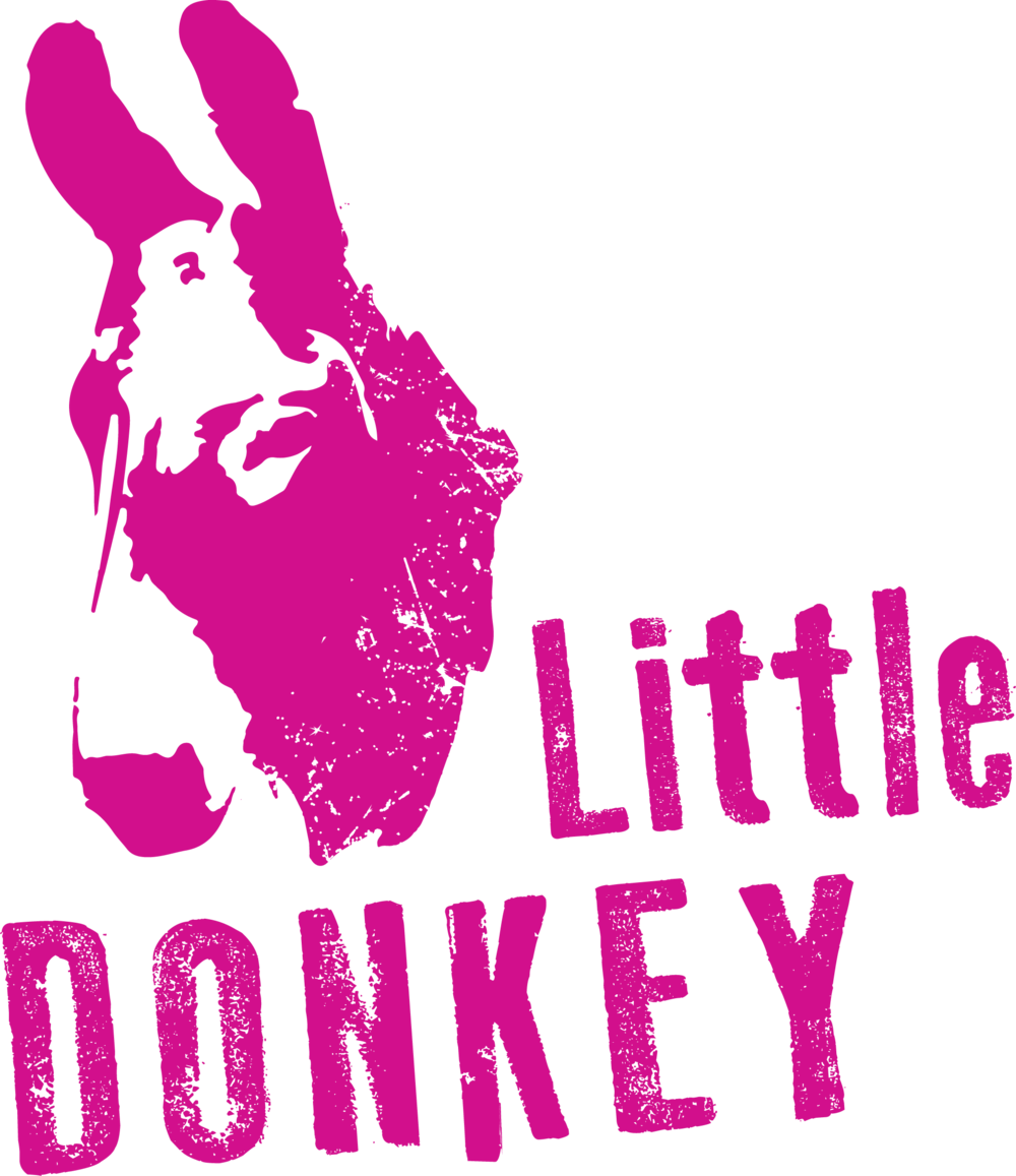Donkey Shrek Png (1000x1157), Png Download