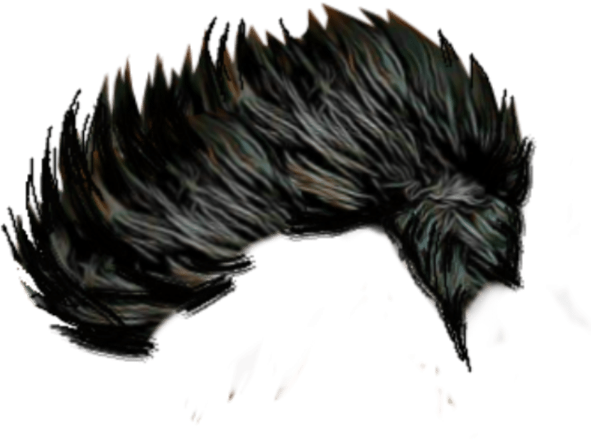 Men Hair Png Image - Hair Png For Picsart (922x922), Png Download
