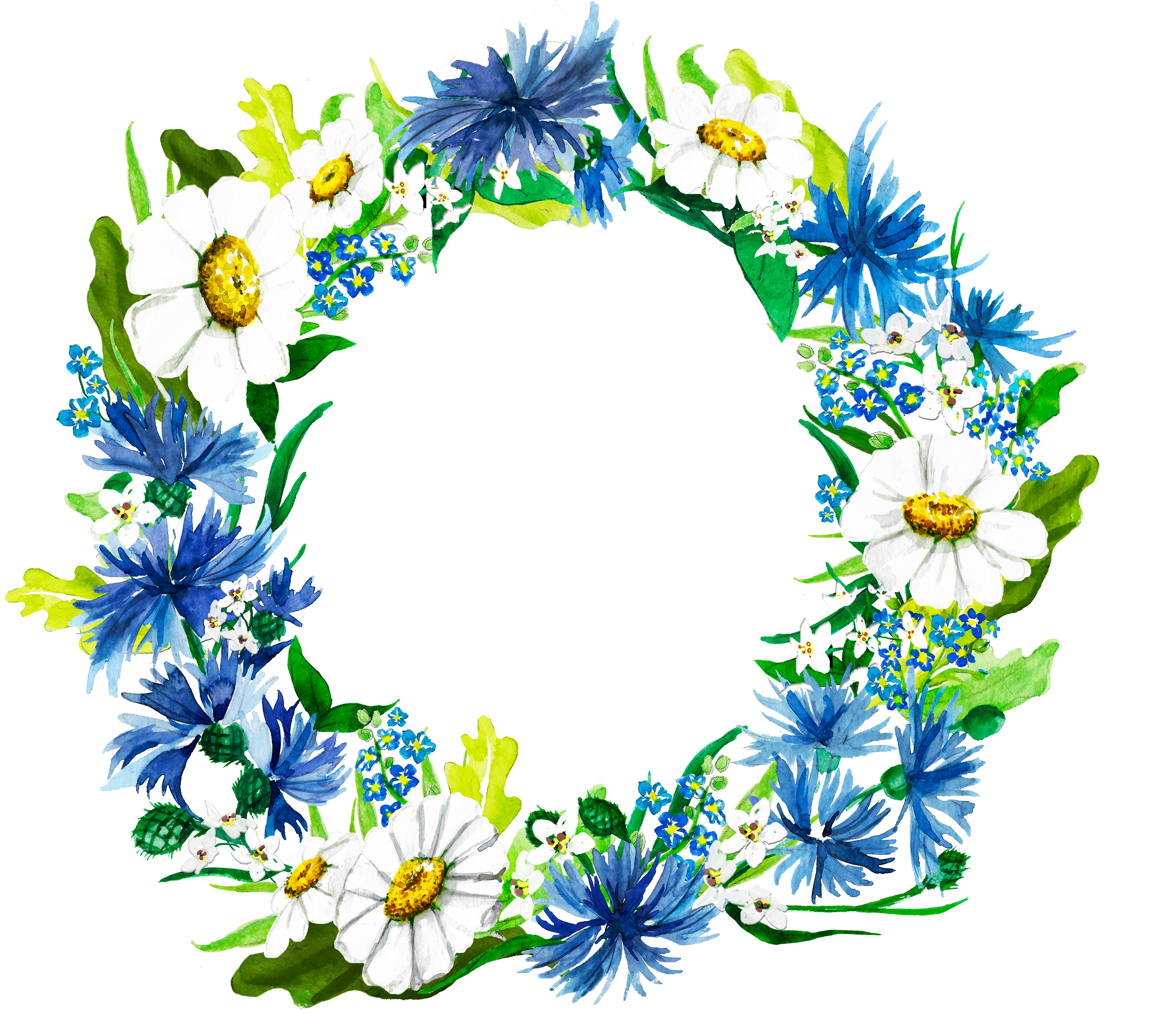 Watercolor Wreath Made Of The Bluebottle, Margaret - African Daisy (3840x3579), Png Download