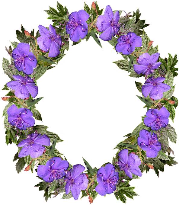 Wreath, Flowers, Frame, Decoration, Nature - Wreath (631x720), Png Download
