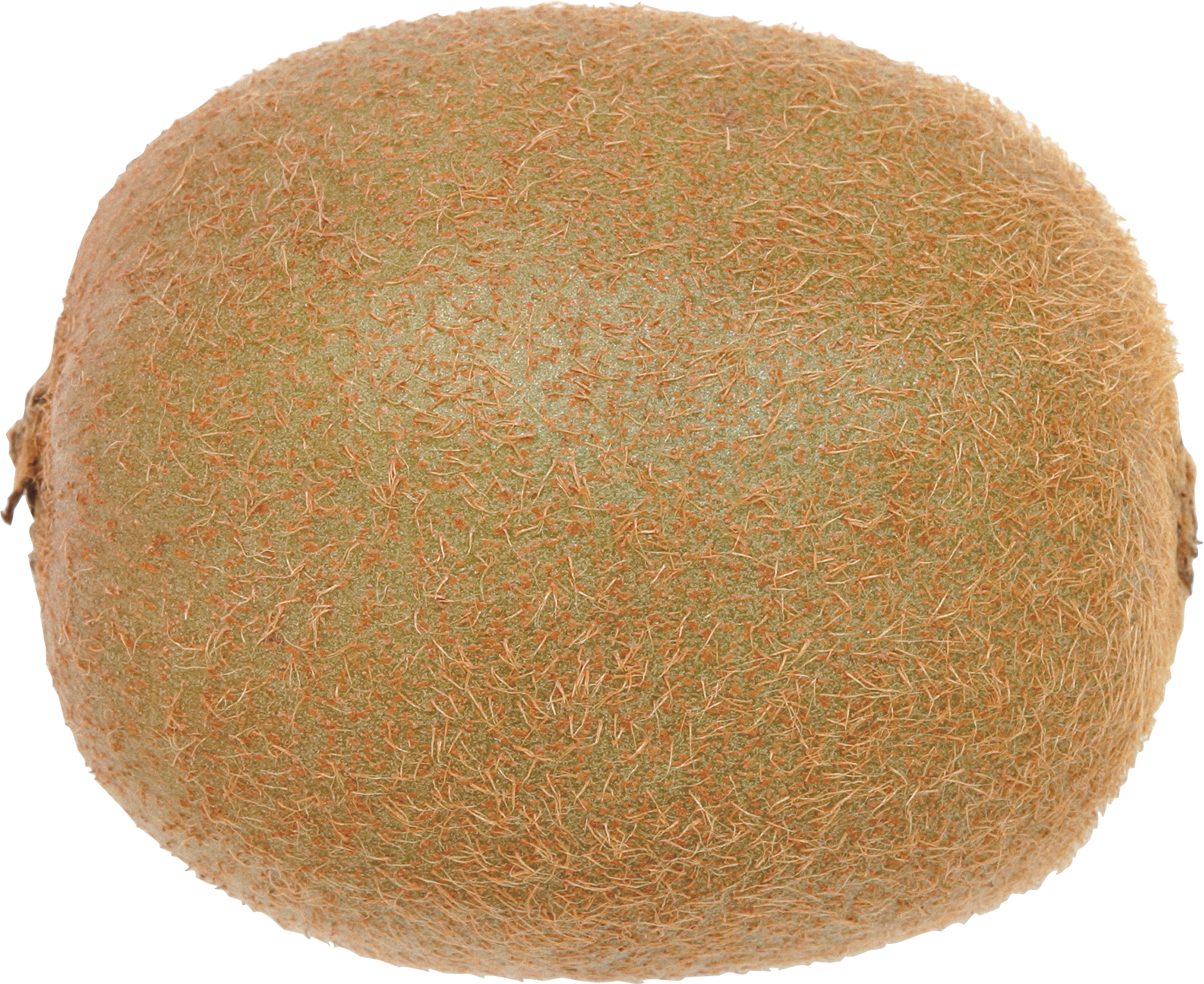 Eggplant Transparent Png Sticker - Brown Fruit Png (2002x1637), Png Download