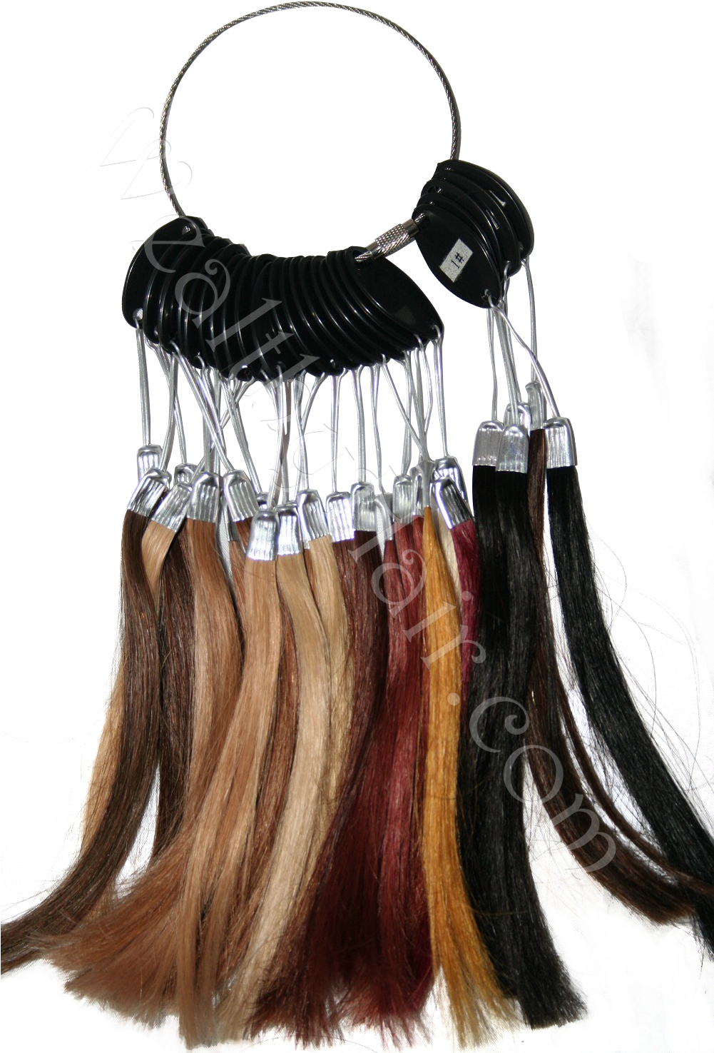P 35717 Lace Wig Color Ring - Lace Wig (1000x1500), Png Download