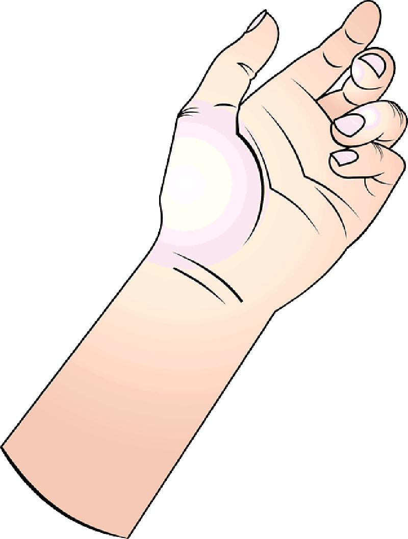 Point, Hand, Figure, Cartoon, Thumb, Nail, - Cartoon Forearm (800x1057), Png Download