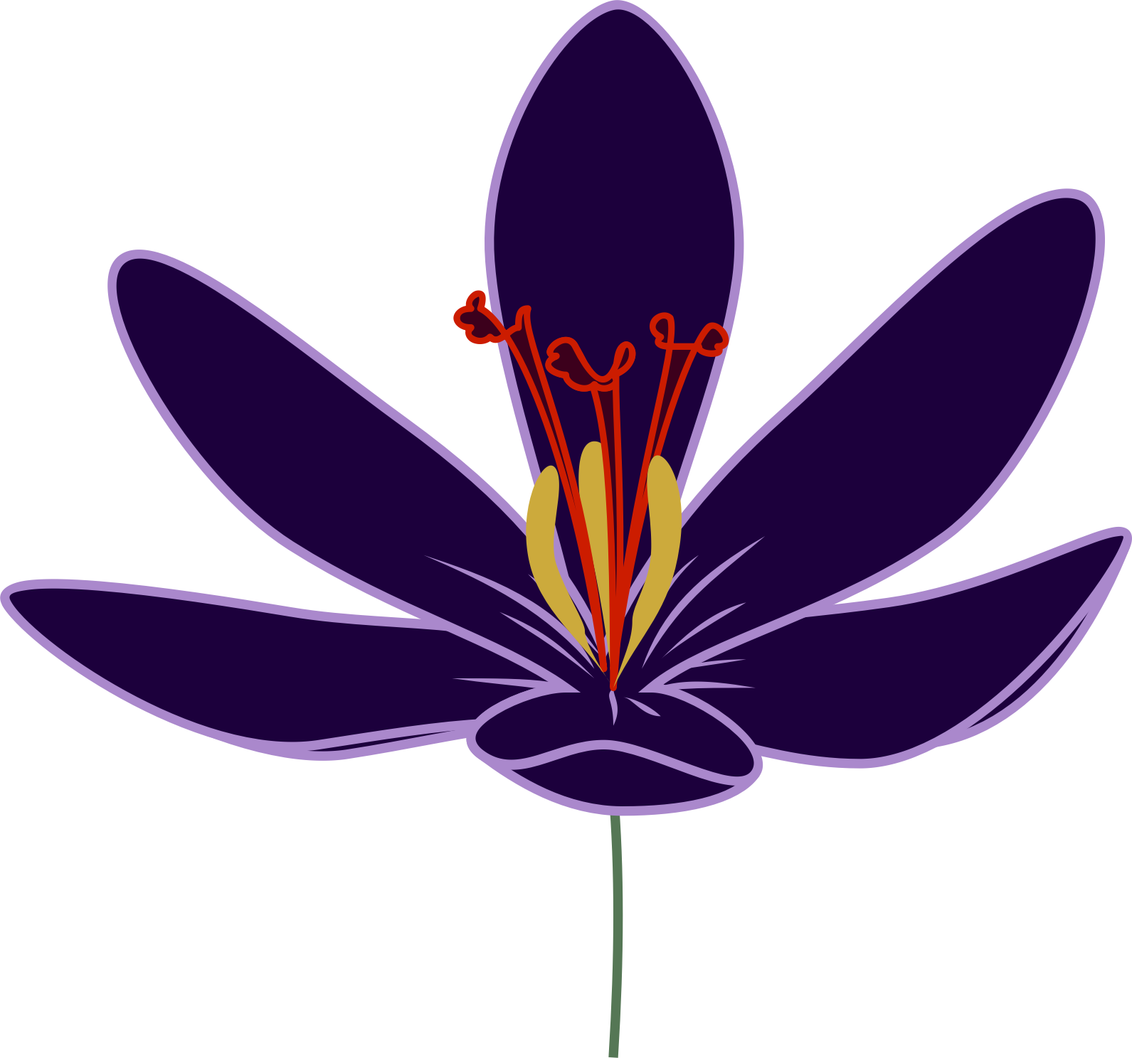 Crocus Clipart Big Flower - Saffron Flower Clipart (1591x1488), Png Download