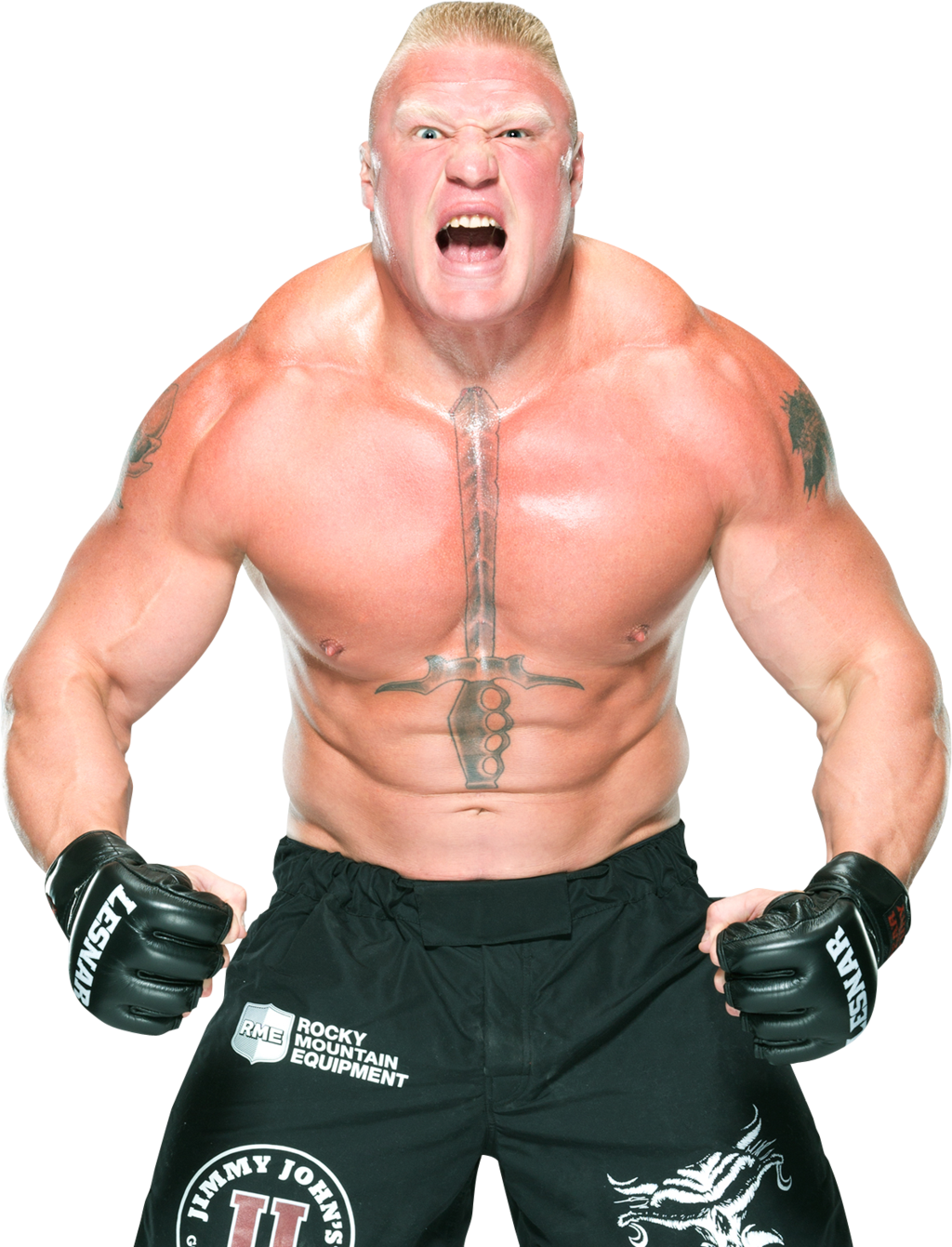 Brock Lesnar Transparent Background - Brock Lesnar Png (782x1024), Png Download