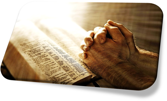 Pray For The Expansion Of His Kingdom - Gospels Are Dramas [book] (716x414), Png Download