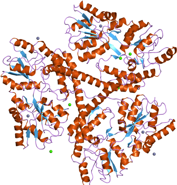 Molecular Mechanisms Involved In The Pathogenesis Of (800x600), Png Download