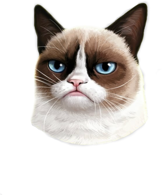 Snowshoe Siamese Cat (700x762), Png Download